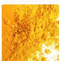 Turmeric root extract